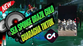 VIRAL SEA SPONGE BRAZIL CULO GUARACHA TIKTOK VIRAL 2026 DJ PAUL BIGATA REMIX 