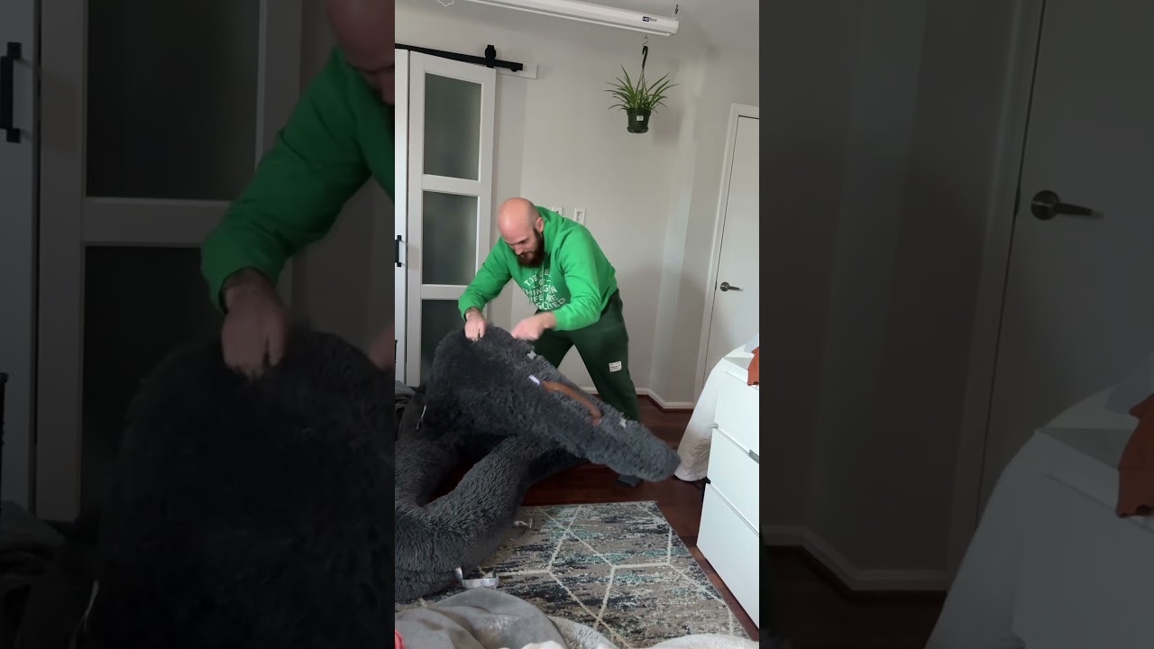 Собачья лежанка Lesure человеческого размера складывается, чехол снимается, ее можно стирать и су...