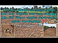 1.25 Acre நிலத்திற்கு Government Subsidy மூலம் Drip Irrigation எப்படி setup பண்ணுறது?#tamizhavlogs 