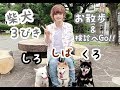 ３匹の柴犬を検診に連れて行ったら反応が可愛すぎた！ Dog