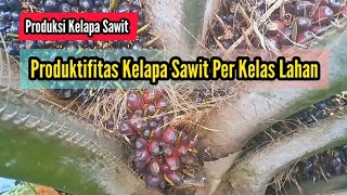 Produktifitas Kelapa Sawit Per Kelas Lahan