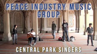 Incredible Street Performance in Central Park! 🎶✨