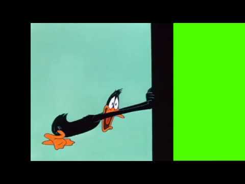 daffy-duck-meme-template