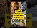 Which wild animal would you choose