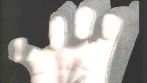 Video Frame Buffer Demo