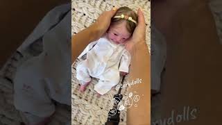 Silicone Baby Lulu 16 Inch, My Instagram , Email Torydolls78