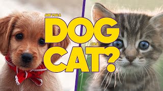 Are You A Dog Or A Cat? - Quiz screenshot 5