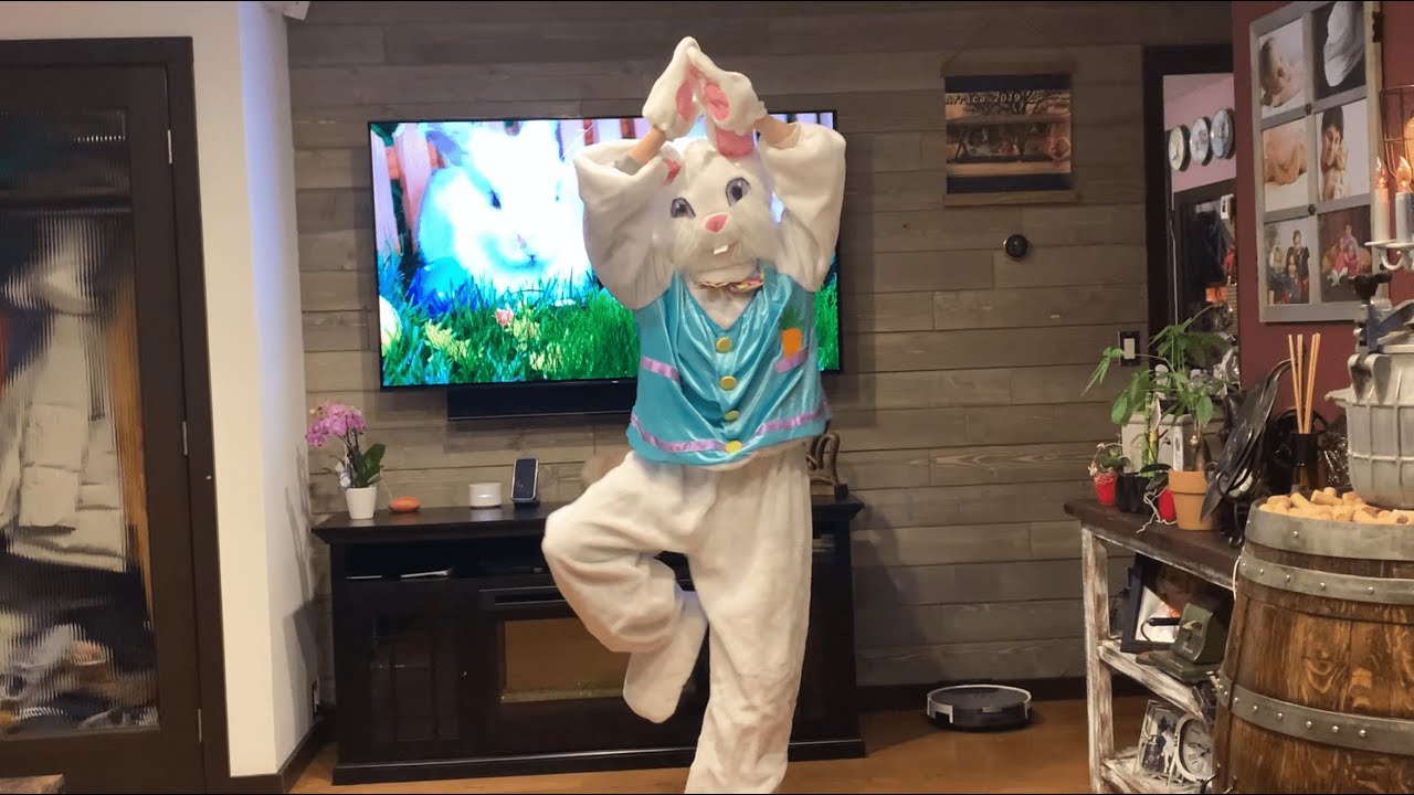 freeze dance yoga freeze dance yoga
