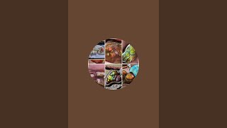 Famous Fire Agate Tutorials Net Worth
