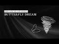 Daoist philosophy life and death  zhuangzis butterfly dream