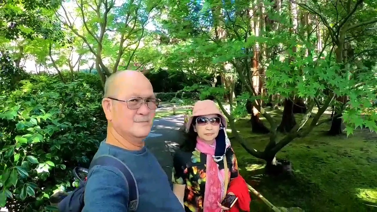 Japanese tea garden - YouTube