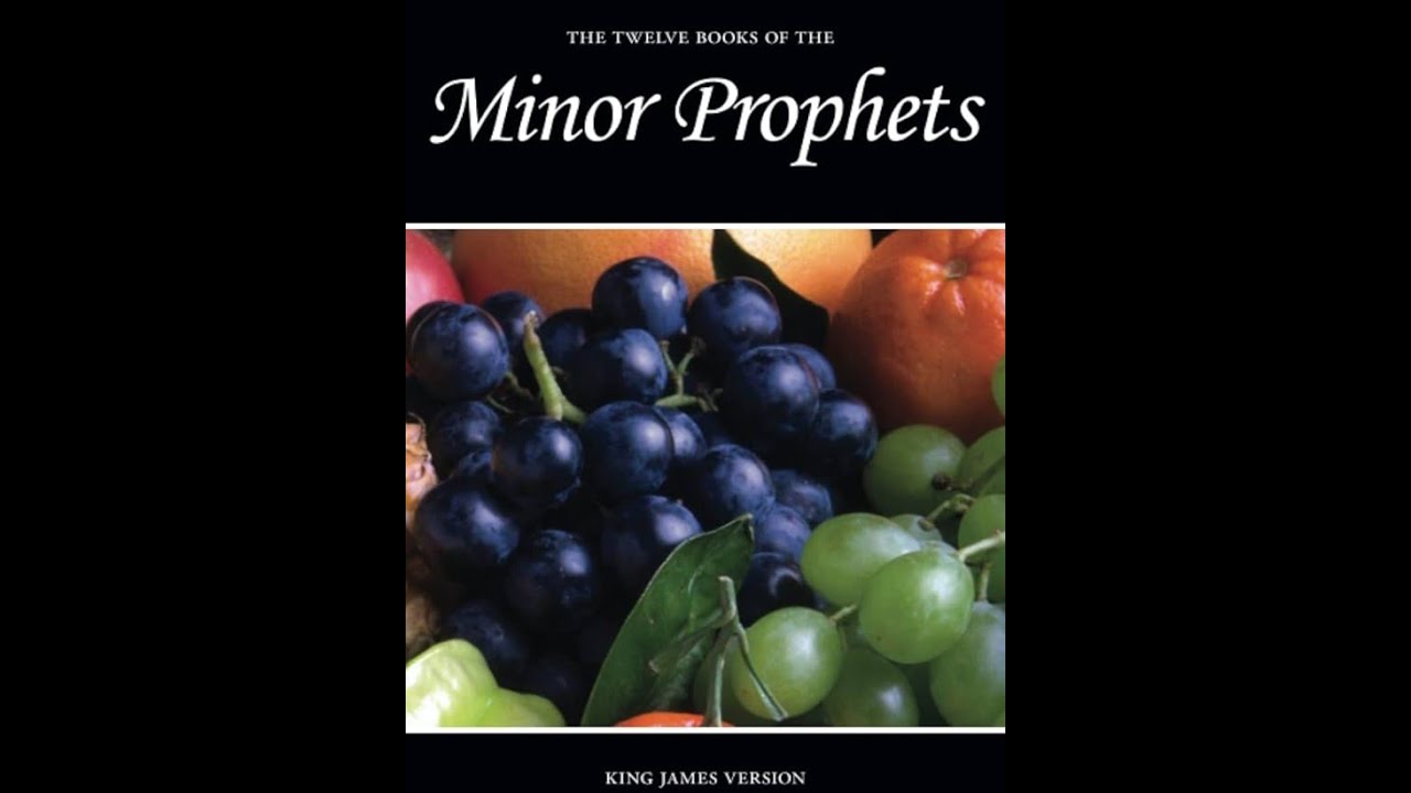 The Minor Prophets by King James Version - Audiobook