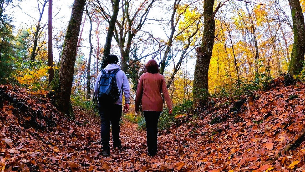 *HIKING* Weekly Walks - Nütterden (The Seven Springs Of Reichswald, Germany)