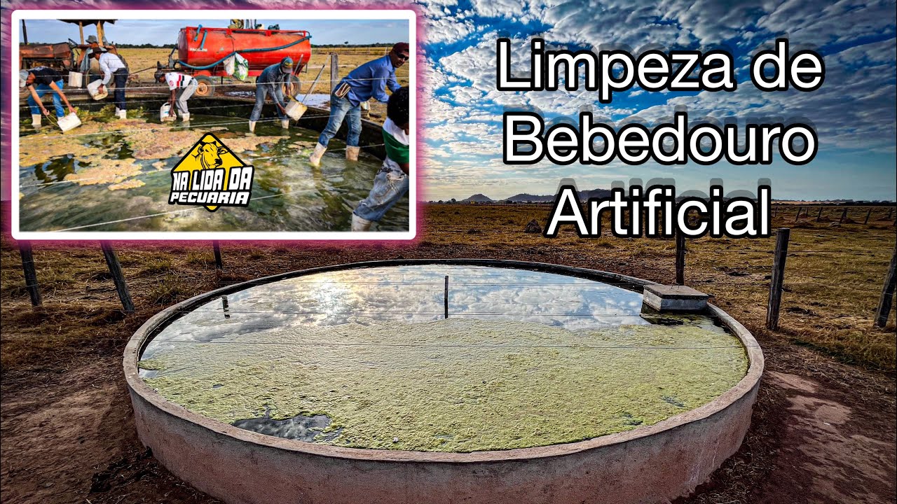 Limpeza de bebedouro artificial…