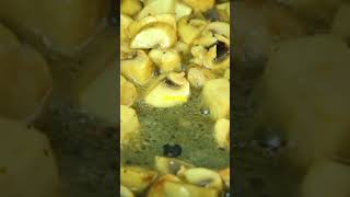 Creamy Mushroom Soup In Minutes Quick Easy 2025 01 23
