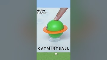 Catnip ball fresh design with movement planet design concept, a interactive cat toy