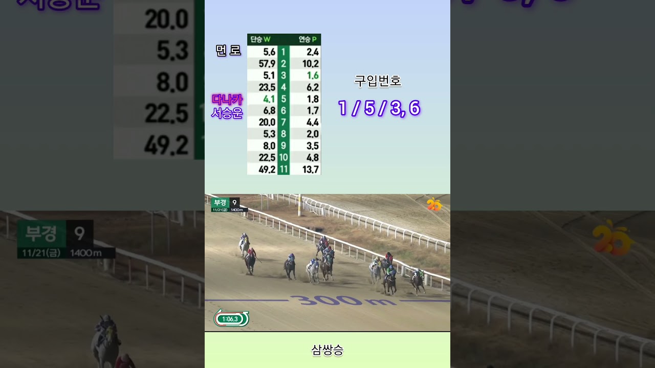 [경마] 주인 행세 ? !