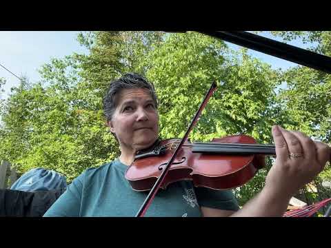 Day 211 - Red Haired Boy - Patti Kusturok’s 366 Days of Fiddle Tunes