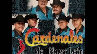 Video thumbnail of "CARDENALES DE NUEVO LEON- JOSEFA (polka)"