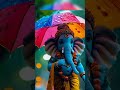 Ganapati Bappa Status Trending Shorts Ganeshchaturthi Ganapati Bappa Status Trending Shorts Ganeshchaturthi