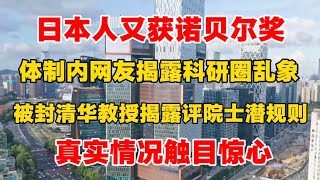 日本人又获诺贝尔奖，体制内网友揭露科研圈乱象，被封清华教授揭露评院士潜规则，真实情况触目惊心！向松祚教授揭露创新的本质！  ｜诺贝尔奖｜科研｜院士｜创新