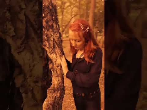 Я календарь переверну.... Подписывайтесь на канал @ReDriadaDance #shorts #календарь