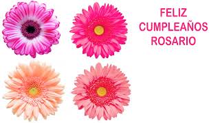 Rosario   Flowers & Flores - Happy Birthday