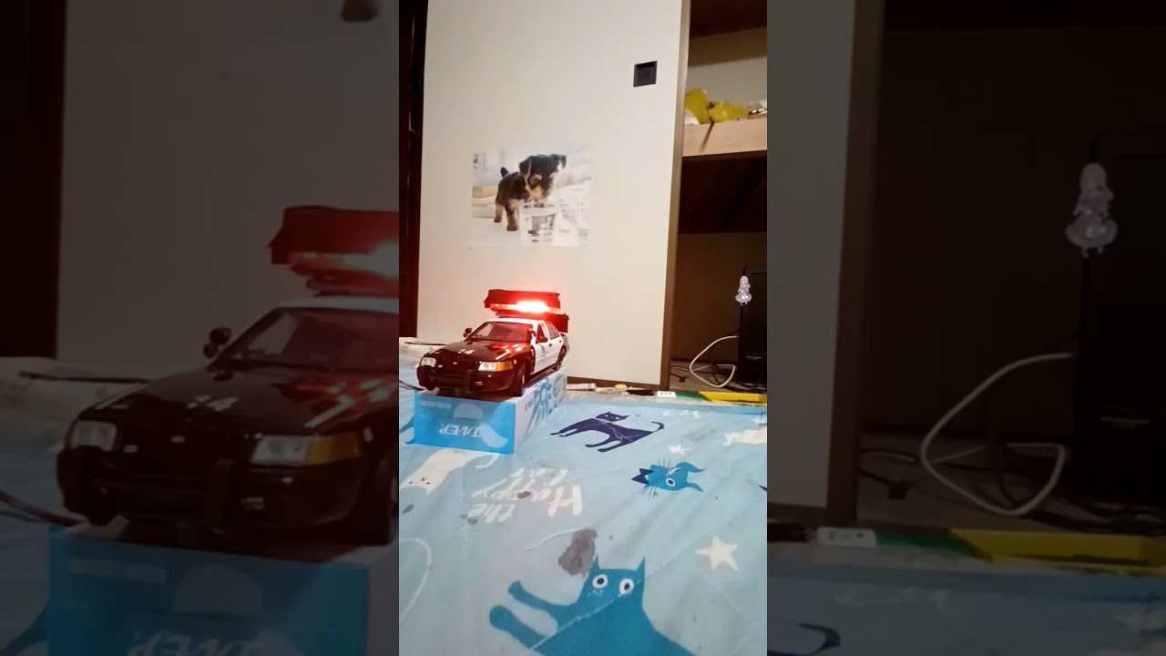 code3 ms4000u サイレンパトカー