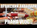 Как мы сходили в Аквапарк в Праге! AQUAPALACE Praha Vlog 073