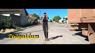 Ziriguidum - Tropkillaz, Rael, Dow Raiz - Coreografia - Dream Dance Solo Resimi