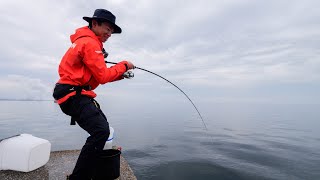 堤防の足元で巨大魚が連発・・・最強餌を投入した釣果がヤバかった