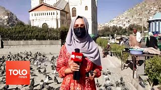 گزارش شهری – منطقه شاه دوشمشیره در کابل