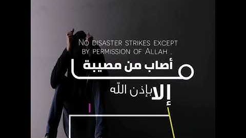 حالات واتس اب دينيه القارئ طارق محمد
