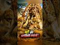 जिराफ माँ की आखिरी लड़ाई। 😱🥺😱 #animalshorts #forest #animals #jungle #shorts #2027