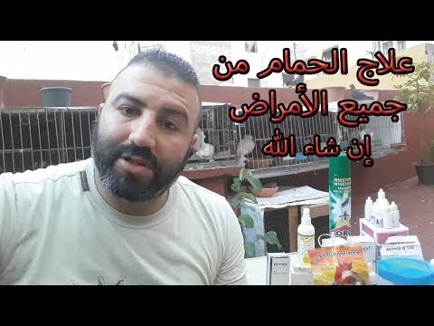 علاج الحمام من جميع الأمراض إن شاء الله 