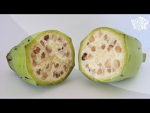 Video: Diferența Dintre Fructele Agregate și Fructele Multiple