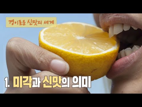 최낙언TV_경이로운 신맛_1. 미각과 신맛의 의미