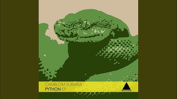 Python (Original Mix)