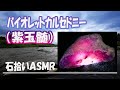 紫玉髄を見つけました。