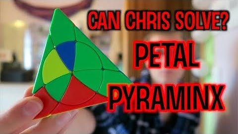 CanChrisSolve?: Petal Pyraminx