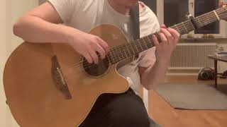 Wilmer Petersson Michael Fingerstyle Guitar