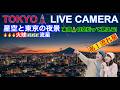 【星空と東京ライブカメラ】TOKYO STARRY SKY LIVE CAMERA 東京ライブカメラ #こと座η流星群 #etalyridmeteorshower
