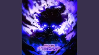 A FESTA COMEÇOU (Slowed) - MOLE MC