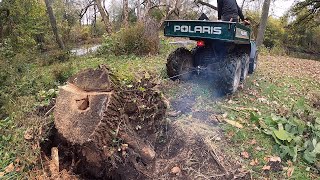 Polaris Big Boss 6x6 - Stump Pulling Power!