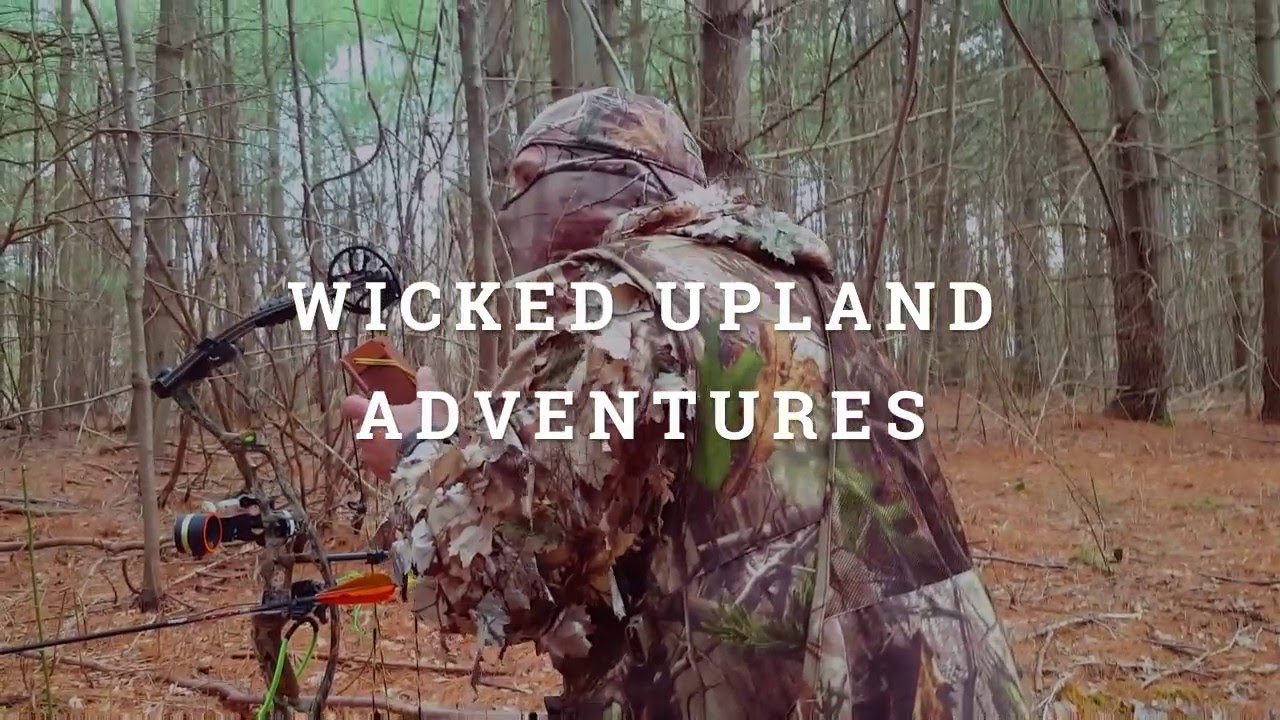 2016 Massachusetts Archery Turkey Hunt w/ Head Shot YouTube