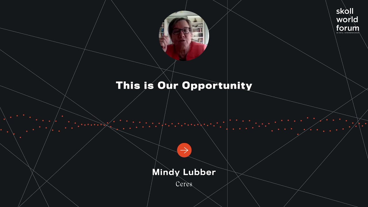 Mindy Lubber - This is Our Opportunity