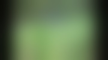 Morgan Heritage--Plant Up The Herbs