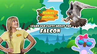 Falcon Facts