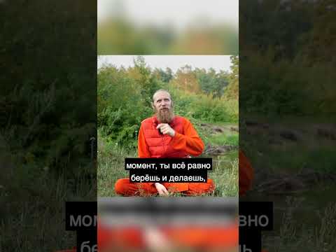 Вот так рождается