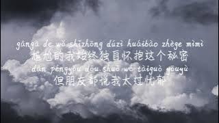 【冬天的秘密-戴羽彤】DONG TIAN DE MI MI-DAI YU TONG /TIKTOK,抖音,틱톡/Pinyin Lyrics, 拼音歌词, 병음가사/No AD, 无广告, 광고없음